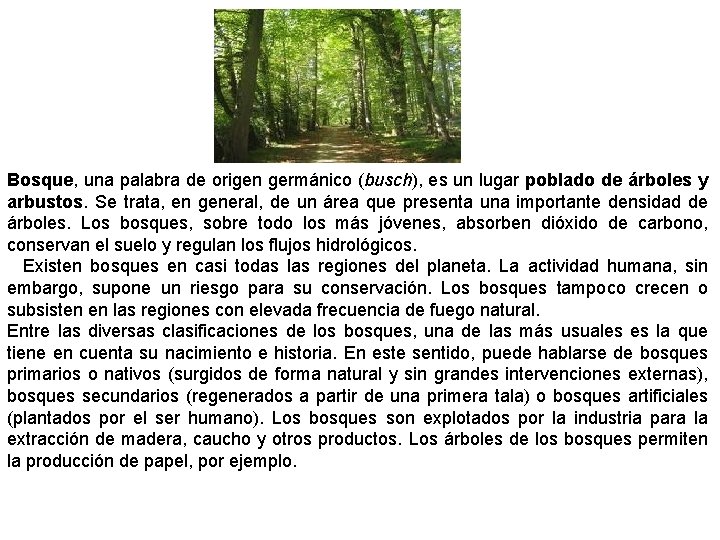 Bosque, una palabra de origen germánico (busch), es un lugar poblado de árboles y Bosque, una palabra de origen germánico (busch), es un lugar poblado de árboles y