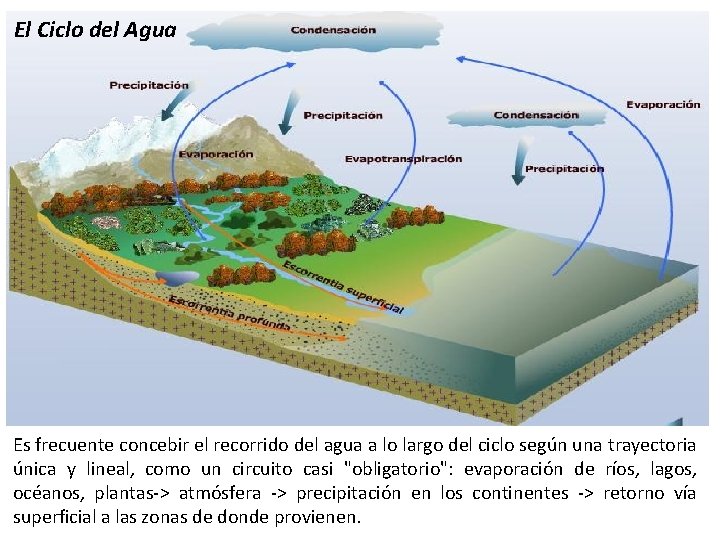 El Ciclo del Agua Es frecuente concebir el recorrido del agua a lo largo El Ciclo del Agua Es frecuente concebir el recorrido del agua a lo largo