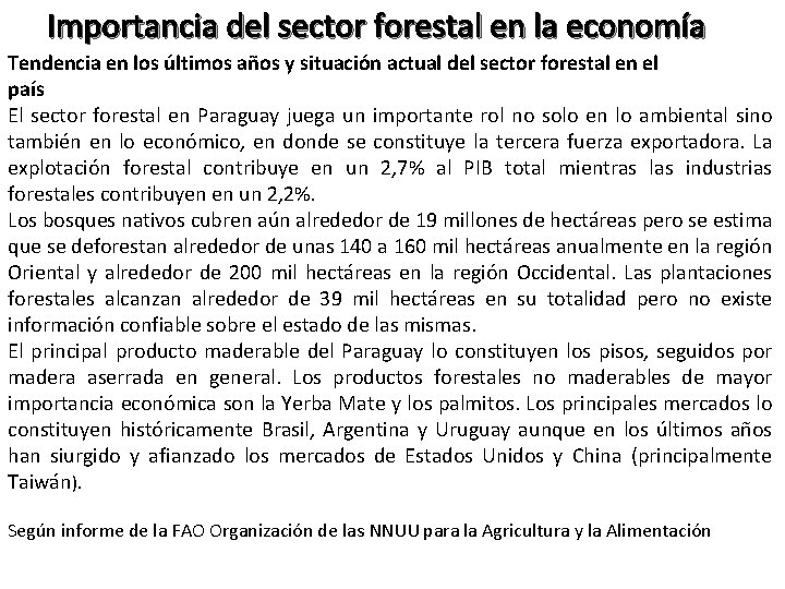 Importancia del sector forestal en la economía Tendencia en los últimos años y situación