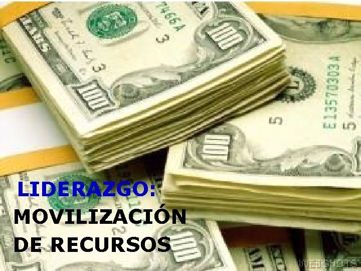 LIDERAZGO: MOVILIZACIÓN DE RECURSOS 