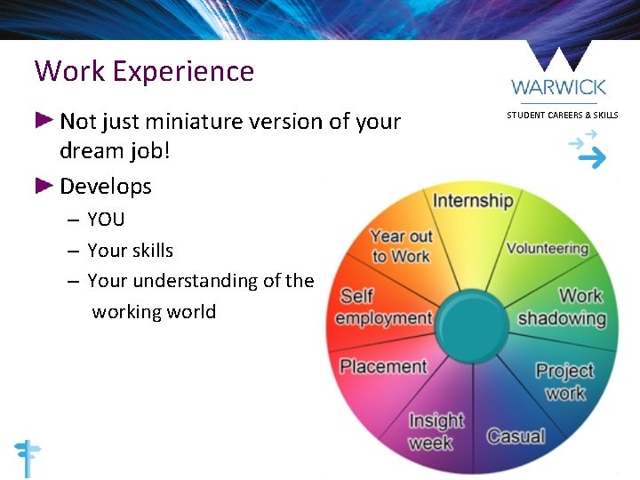 Work Experience Not just miniature version of your dream job! Develops – YOU –