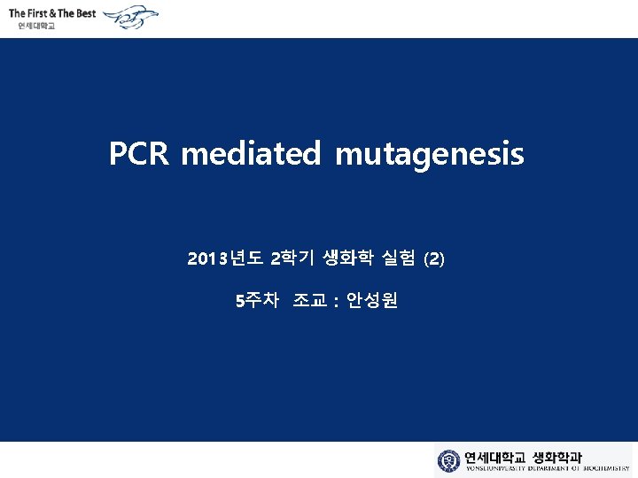 PCR mediated mutagenesis 2013년도 2학기 생화학 실험 (2) 5주차 조교 : 안성원 