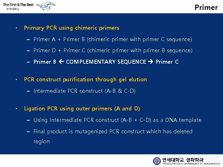 Primer • Primary PCR using chimeric primers – Primer A + Primer B (chimeric