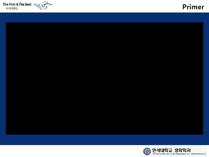 Primer 