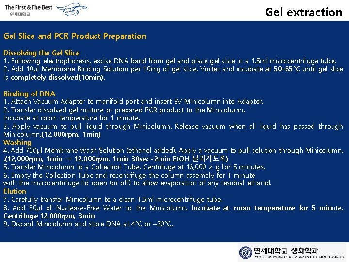 Gel extraction Gel Slice and PCR Product Preparation Dissolving the Gel Slice 1. Following