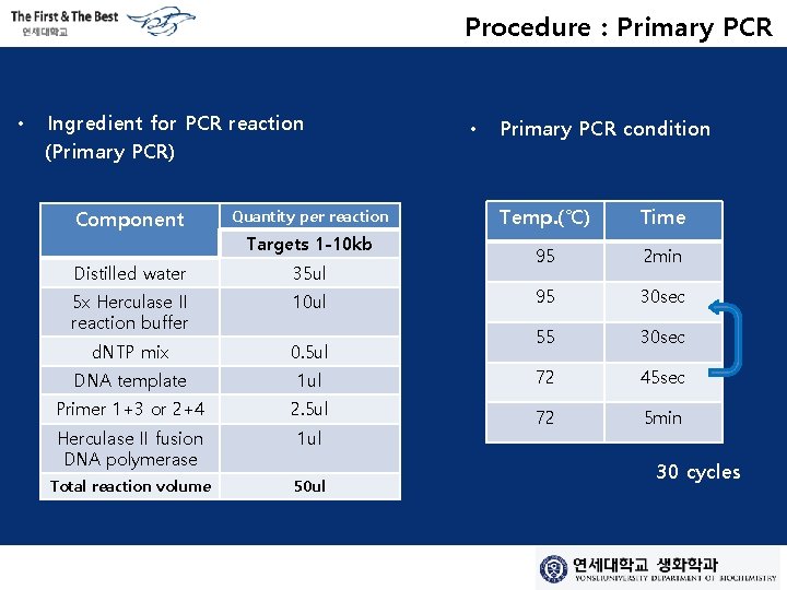 Procedure : Primary PCR • Ingredient for PCR reaction (Primary PCR) Component Quantity per