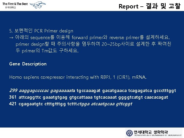 Report – 결과 및 고찰 5. 보편적인 PCR Primer design → 아래의 sequence를 이용해