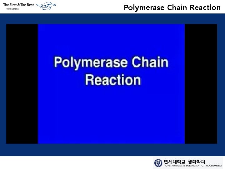 Polymerase Chain Reaction 