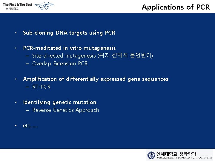 Applications of PCR • Sub-cloning DNA targets using PCR • PCR-meditated in vitro mutagenesis