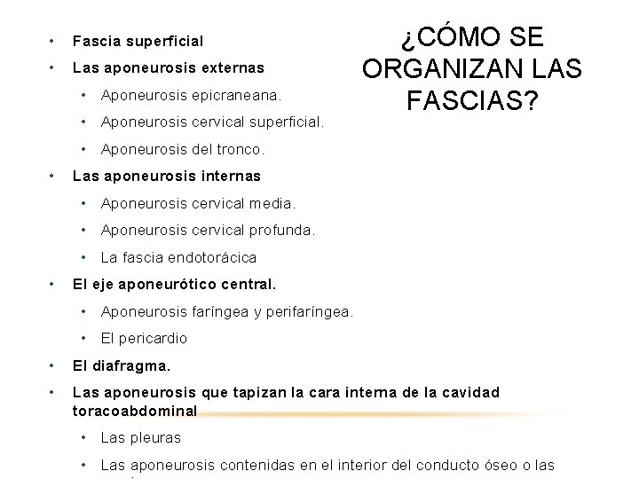  • Fascia superficial • Las aponeurosis externas • Aponeurosis epicraneana. • Aponeurosis cervical