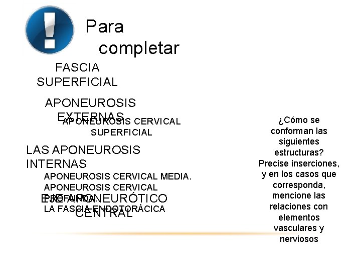 Para completar FASCIA SUPERFICIAL APONEUROSIS EXTERNAS APONEUROSIS CERVICAL SUPERFICIAL LAS APONEUROSIS INTERNAS APONEUROSIS CERVICAL