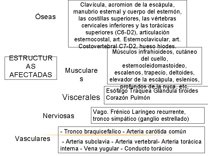 Óseas ESTRUCTUR AS AFECTADAS Clavícula, acromion de la escápula, manubrio esternal y cuerpo del