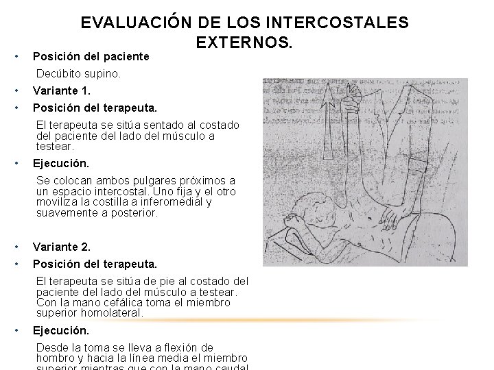  • EVALUACIÓN DE LOS INTERCOSTALES EXTERNOS. Posición del paciente Decúbito supino. • Variante