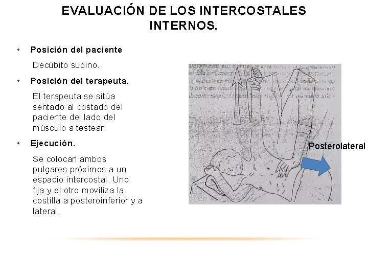 EVALUACIÓN DE LOS INTERCOSTALES INTERNOS. • Posición del paciente Decúbito supino. • Posición del