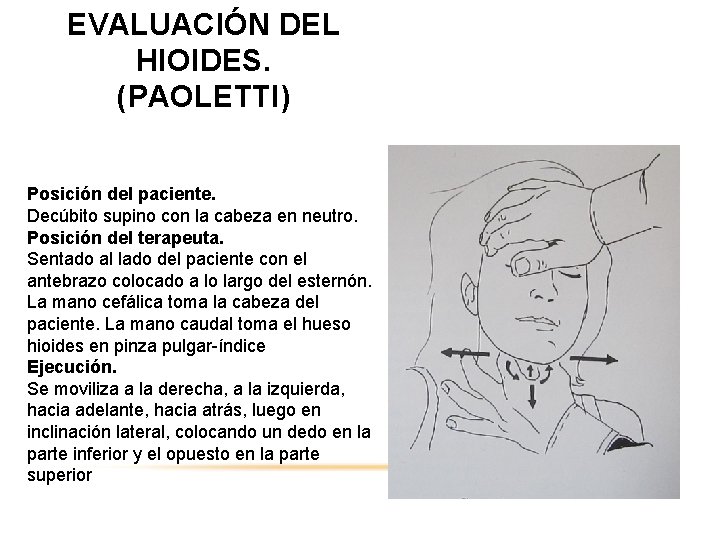 EVALUACIÓN DEL HIOIDES. (PAOLETTI) Posición del paciente. Decúbito supino con la cabeza en neutro.