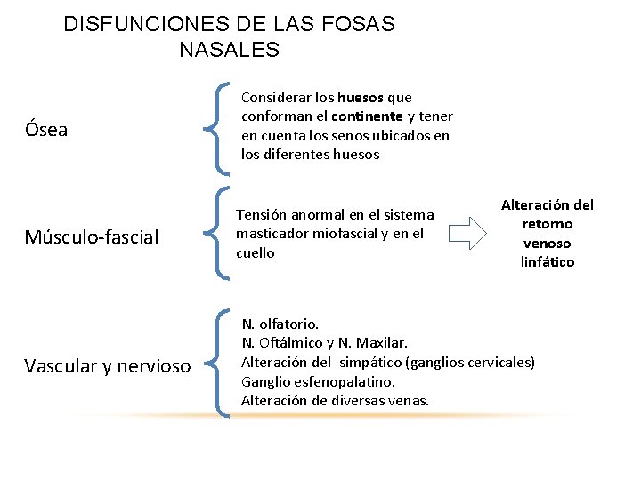 DISFUNCIONES DE LAS FOSAS NASALES Ósea Músculo-fascial Vascular y nervioso Considerar los huesos que