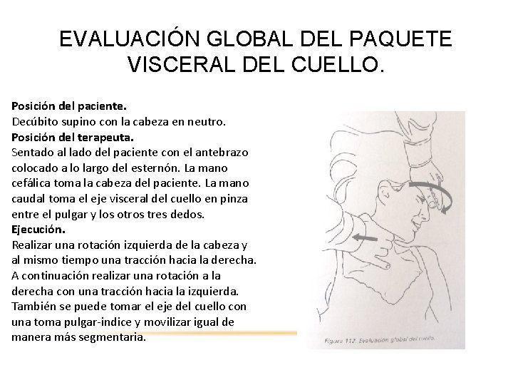 EVALUACIÓN GLOBAL DEL PAQUETE VISCERAL DEL CUELLO. Posición del paciente. Decúbito supino con la