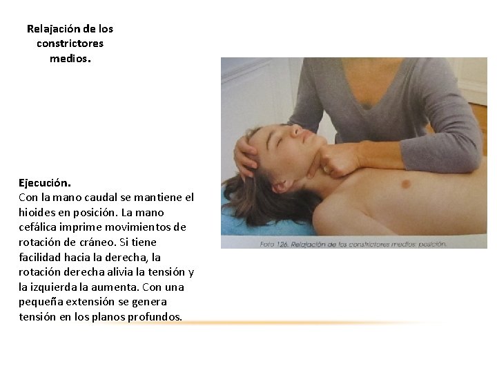 Relajación de los constrictores medios. Ejecución. Con la mano caudal se mantiene el hioides