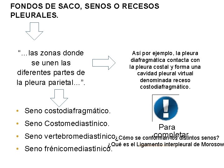 FONDOS DE SACO, SENOS O RECESOS PLEURALES. se definen como “…las zonas donde se