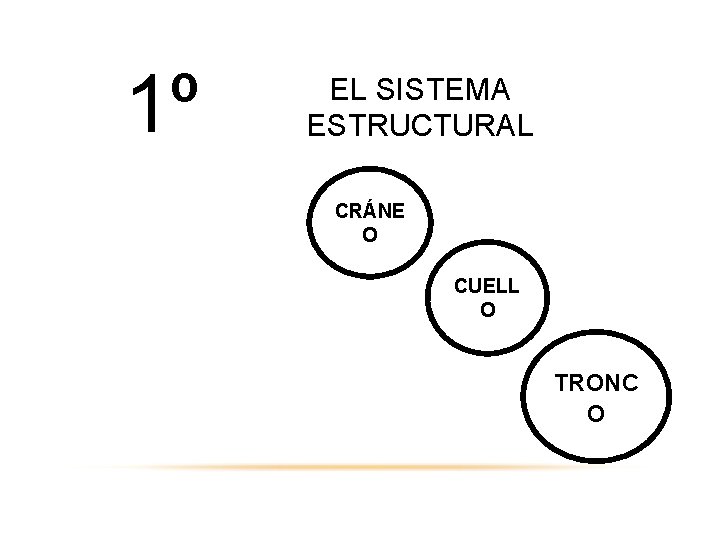 1º EL SISTEMA ESTRUCTURAL CRÁNE O CUELL O TRONC O 