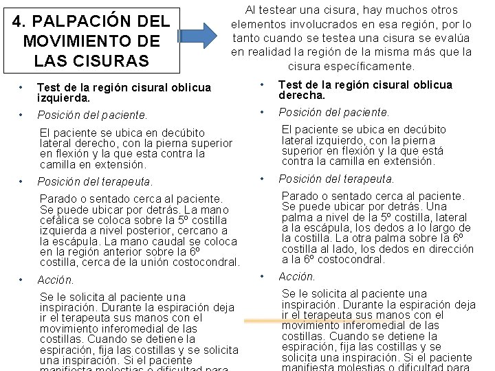 4. PALPACIÓN DEL MOVIMIENTO DE LAS CISURAS Al testear una cisura, hay muchos otros