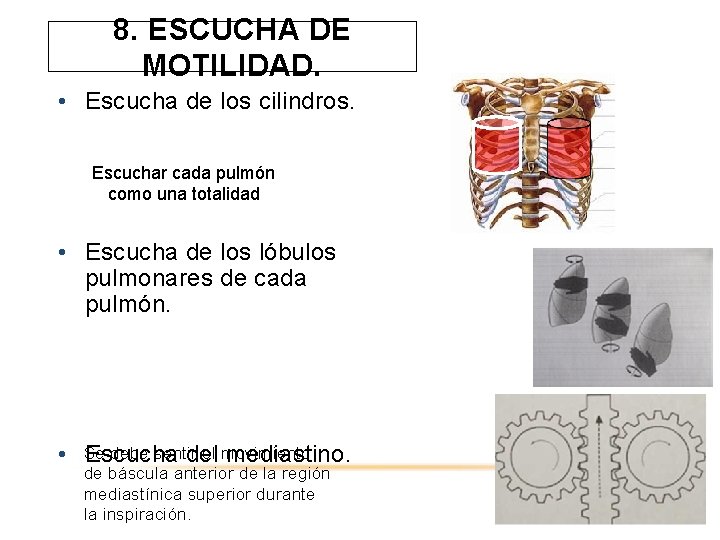 8. ESCUCHA DE MOTILIDAD. • Escucha de los cilindros. Escuchar cada pulmón como una