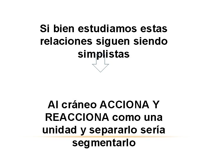 Si bien estudiamos estas relaciones siguen siendo simplistas Al cráneo ACCIONA Y REACCIONA como