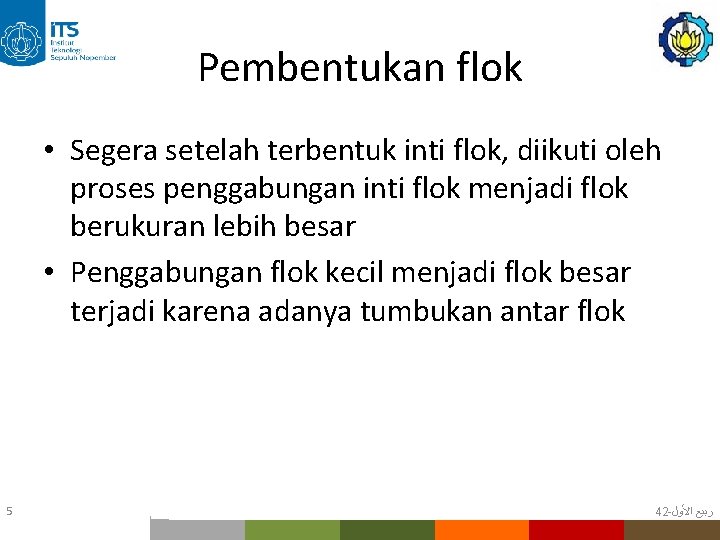 Pembentukan flok • Segera setelah terbentuk inti flok, diikuti oleh proses penggabungan inti flok