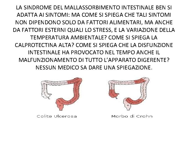 LA SINDROME DEL MALLASSORBIMENTO INTESTINALE BEN SI ADATTA AI SINTOMI: MA COME SI SPIEGA