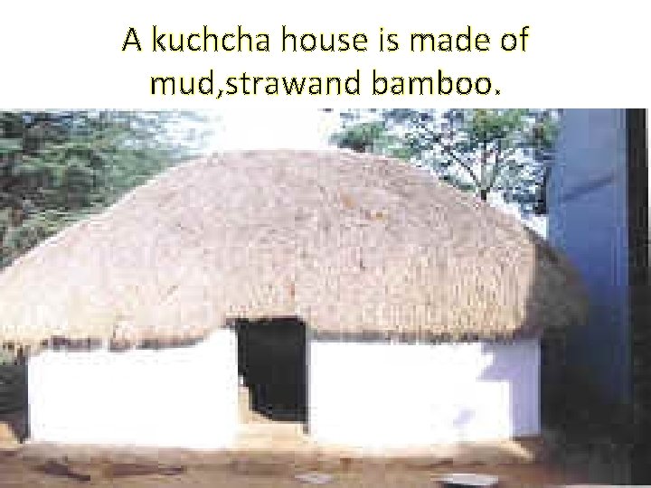 A kuchcha house is made of mud, strawand bamboo. 
