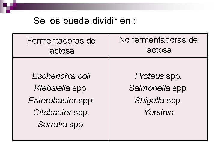 Se los puede dividir en : Fermentadoras de lactosa No fermentadoras de lactosa Escherichia