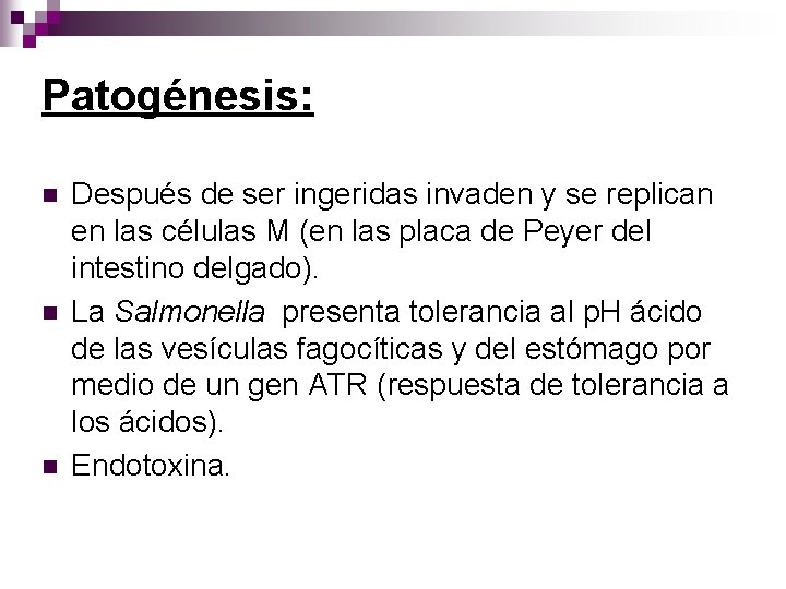 Patogénesis: n n n Después de ser ingeridas invaden y se replican en las