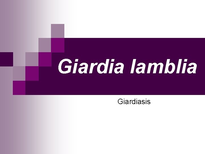 Giardia lamblia Giardiasis 