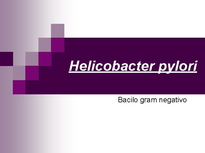 Helicobacter pylori Bacilo gram negativo 