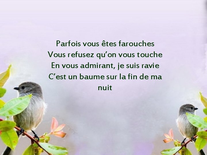 Parfois vous êtes farouches Vous refusez qu’on vous touche En vous admirant, je suis