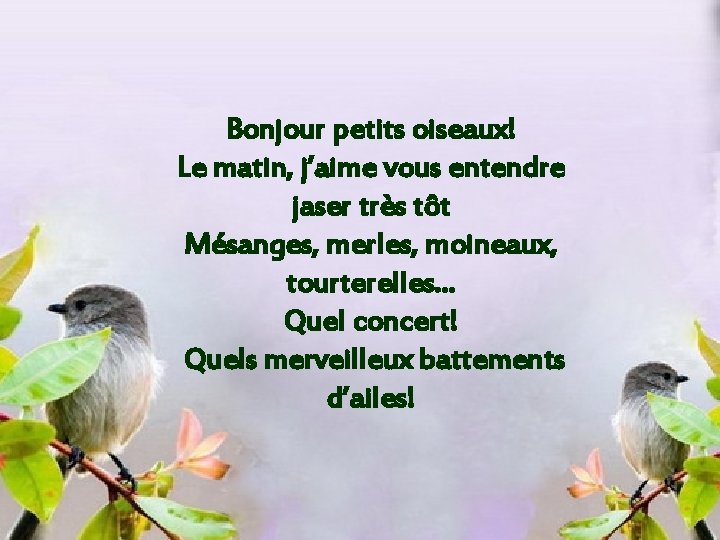 Bonjour petits oiseaux! Le matin, j’aime vous entendre jaser très tôt Mésanges, merles, moineaux,