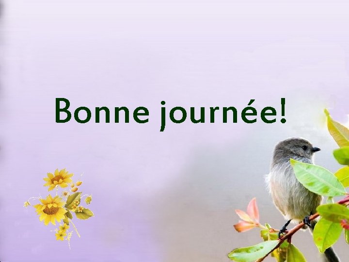 Bonne journée! 