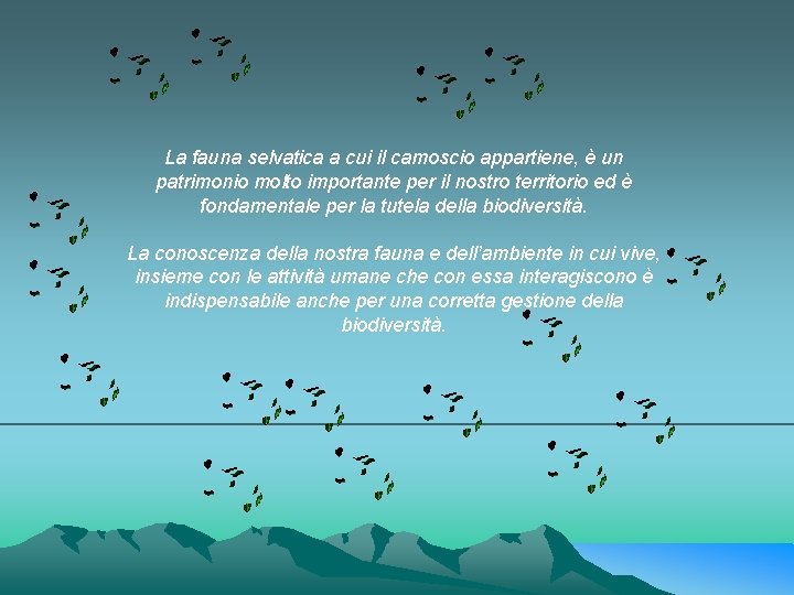 La fauna selvatica a cui il camoscio appartiene, è un patrimonio molto importante per