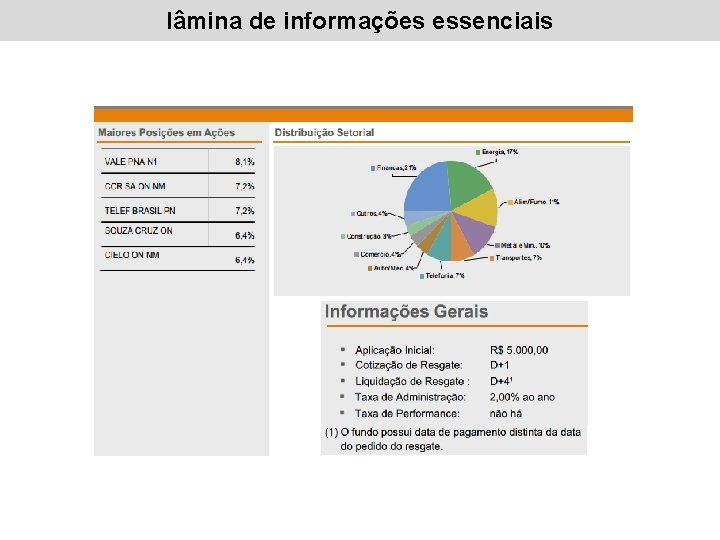 lâmina de informações essenciais 