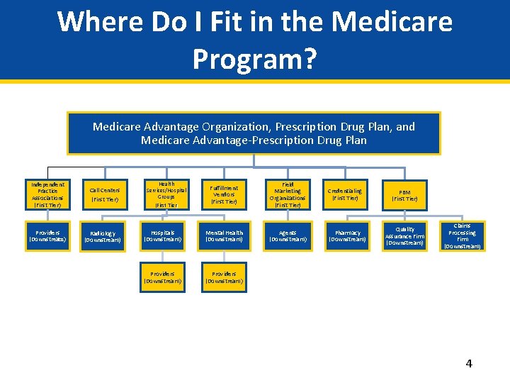Where Do I Fit in the Medicare Program? Medicare Advantage Organization, Prescription Drug Plan,