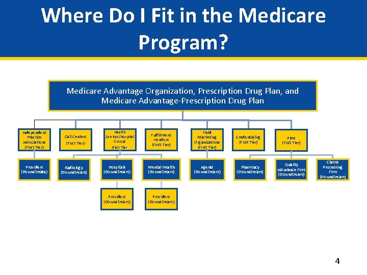 Where Do I Fit in the Medicare Program? Medicare Advantage Organization, Prescription Drug Plan,