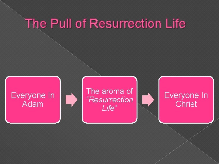 The Pull of Resurrection Life Everyone In Adam The aroma of “Resurrection Life” Everyone The Pull of Resurrection Life Everyone In Adam The aroma of “Resurrection Life” Everyone
