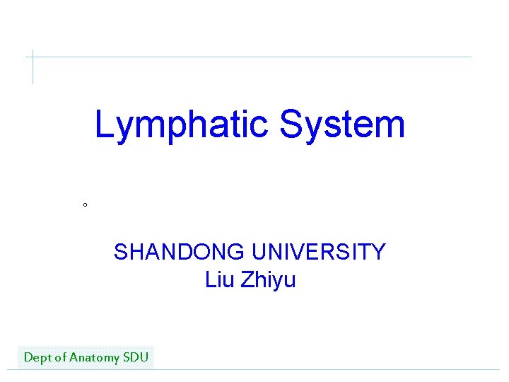 Lymphatic System 。 SHANDONG UNIVERSITY Liu Zhiyu Dept of Anatomy SDU 