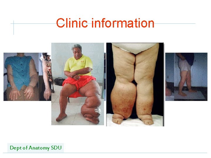 Clinic information Dept of Anatomy SDU 