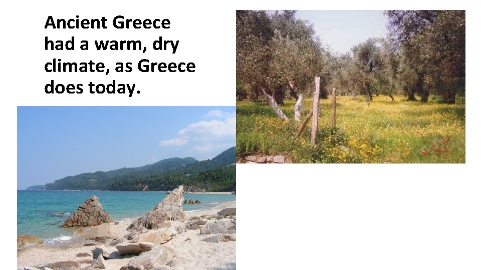 Ancient Greece had a warm, dry climate, as Greece does today. 