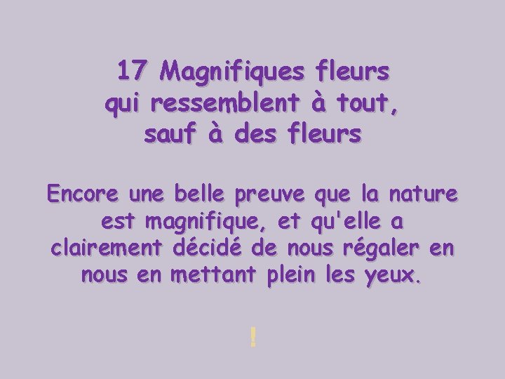 17 Magnifiques fleurs qui ressemblent à tout, sauf à des fleurs Encore une belle