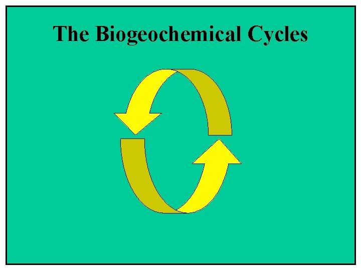 The Biogeochemical Cycles 