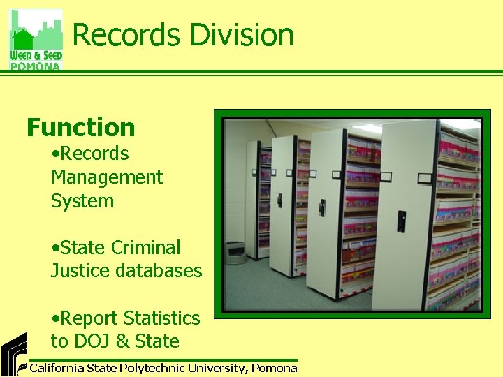 Records Division Function • Records Management System • State Criminal Justice databases • Report