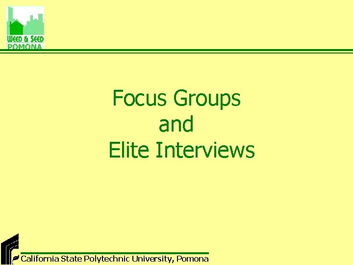 Focus Groups and Elite Interviews California State Polytechnic University, Pomona 