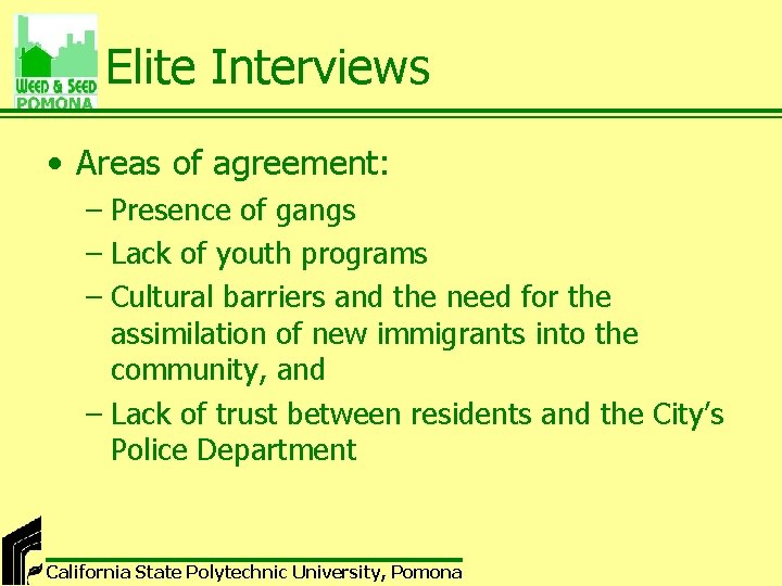 Elite Interviews • Areas of agreement: – Presence of gangs – Lack of youth